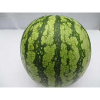 Wassermelone "Remstal" kernarm