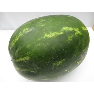 Wassermelone klein ca. 1,5 kg