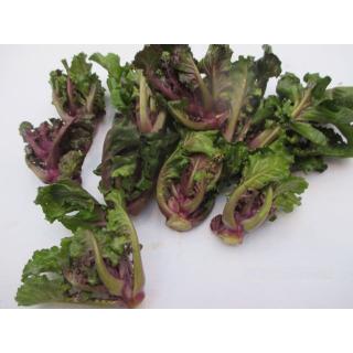 Kohlröschen - die Vitaminbombe aus dem Remstal