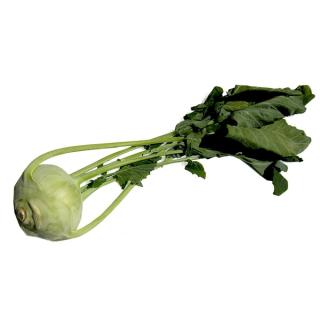 Kohlrabi klein DE