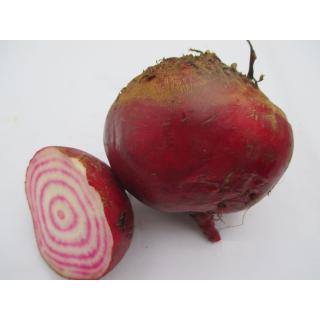 Ringelbete "Chioggia"
