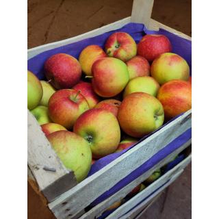 Äpfel "Wellant", Kiste 10 kg