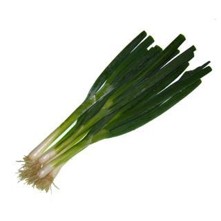 Bundzwiebel weiß IT