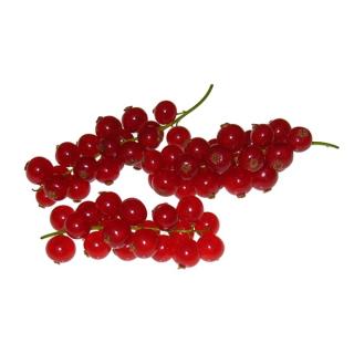 Johannisbeeren rot 500gr