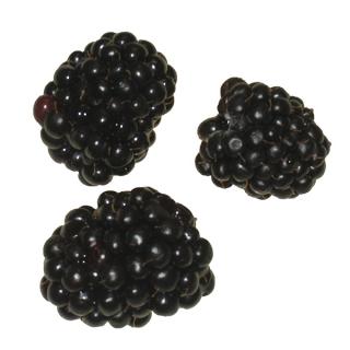 Brombeeren 250gr