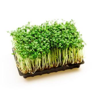 Kresse* Schale zum Abschneiden