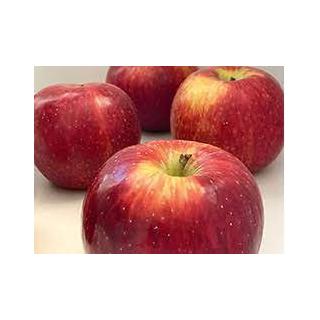 Äpfel "Summerred"