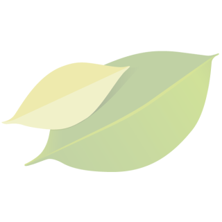Äpfel "Klaräpfel"
