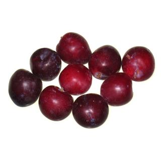Anatolische Kirschpflaume